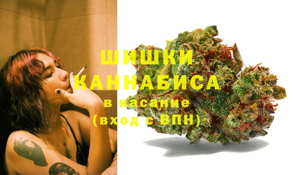PSILOCYBIN Аркадак