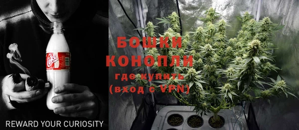 PSILOCYBIN Аркадак