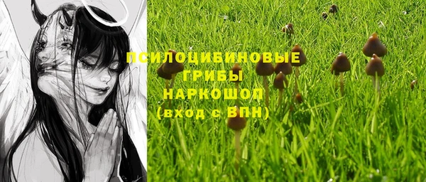 эйфоретик Армянск