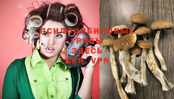 PSILOCYBIN Аркадак